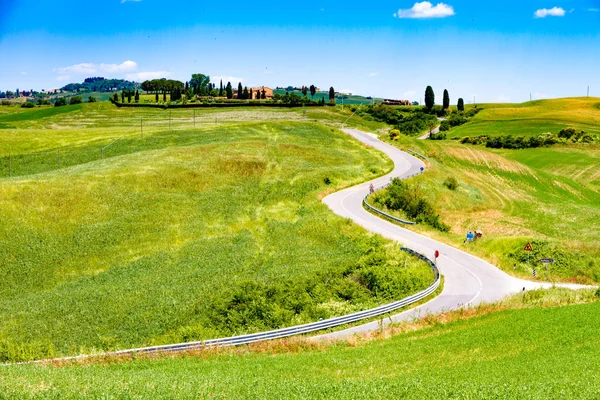 Fields Sunny Tuscan Countryside Siena Italy — Stock Photo, Image
