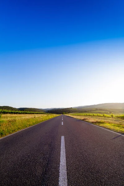 Bir ülkede yol Bahar yakın Montalcino Toskana, İtalya