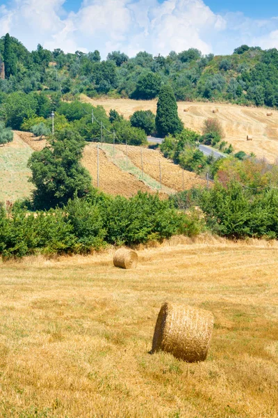 Pacas Redondas Sobre Trigo Cultivado Cerca Massa Marittima Toscana Italia —  Fotos de Stock