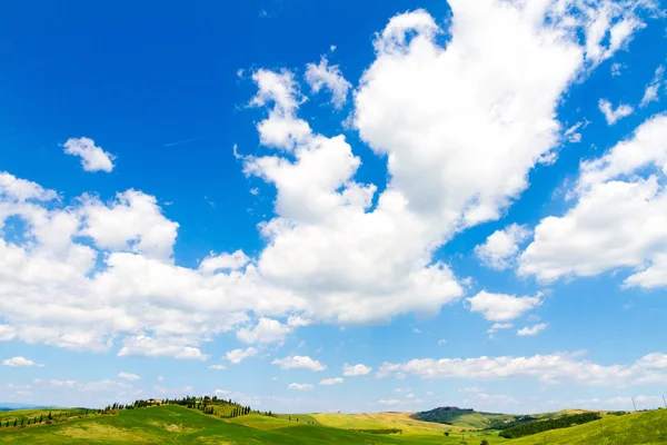Velden Zonnige Toscaanse Platteland Buurt Van Siena Italië — Stockfoto