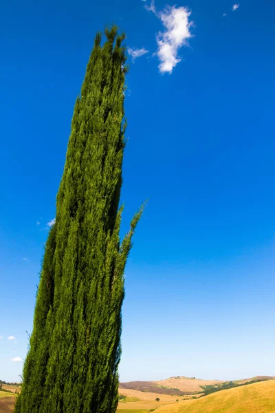 Letní pohled Crete Senesi Toskánsko, Itálie — Stock fotografie