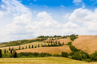 dolambaçlı yol Girit senesi Toskana, Ita içinde selvi ile çevrili