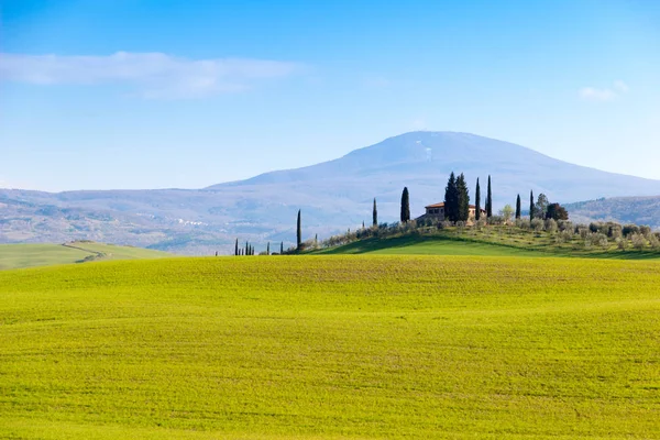 Piękny widok na wiejskie wzgórza w pobliżu Siena, Toskania, Włochy, — Zdjęcie stockowe