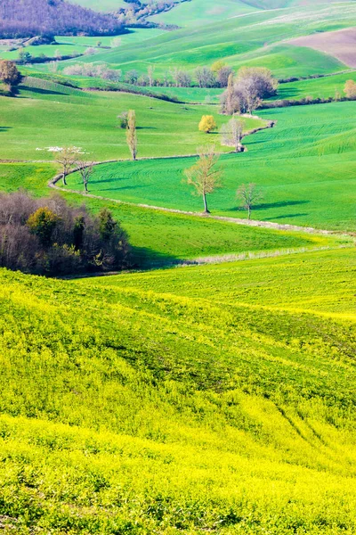 Hermosa vista de las colinas del campo cerca de Siena, Toscana, Italia , — Foto de Stock