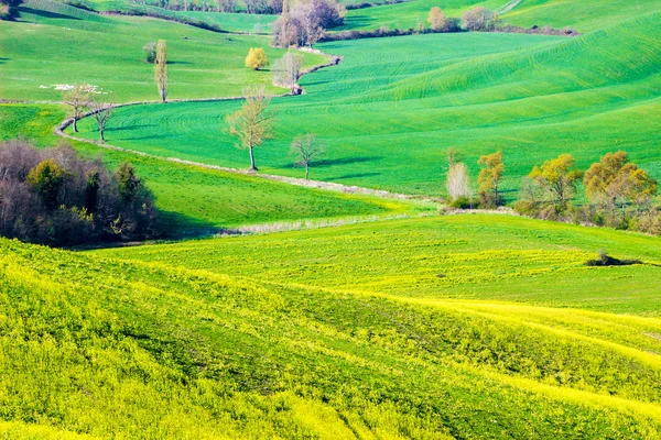 Belle vue sur les collines près de Sienne, Toscane, Italie , — Photo