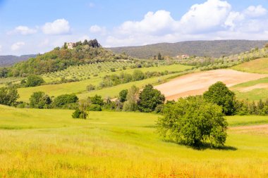 Güneşli bahar Tuscan ülke görünüm yakınındaki Massa Marittima, ITAL
