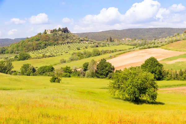 Sonniger frühlingshafter Blick auf das toskanische Land in der Nähe von Massa Marittima, ital — Stockfoto