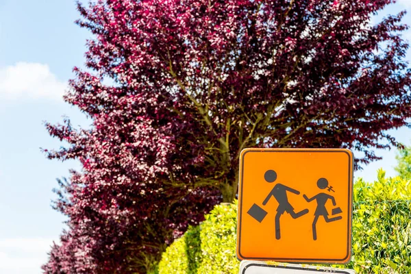 School road sign in spring in Tuscany, Italy