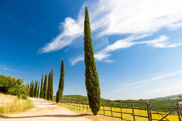 Estrada de campo flanqueada com ciprestes na Toscana, Itália — Fotografia de Stock