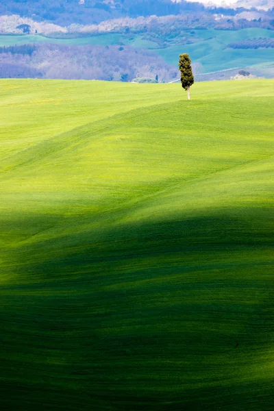 Hermosa vista de las colinas del campo cerca de Siena, Toscana, Italia , — Foto de Stock