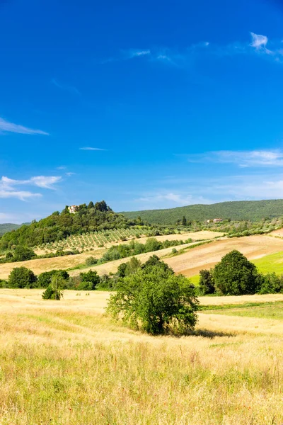 Sunny springtime tuscan country view near Massa Marittima , Ital — Stock Photo, Image