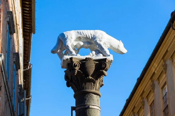 Siena Tuscany Italy Sienese She Wolf Located Pantaneto Sunny Day — Stock Photo, Image