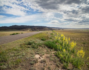 Kazakistan bozkırında yol