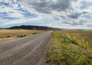 Kazakistan bozkırında yol