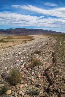 Kazakistan'ın güneydoğusundaki Bartogai Gölü