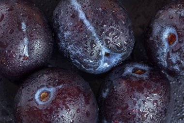 Su damlaları ile karanlık bir arka plan üzerinde Taze erik