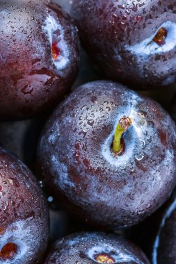 Su damlaları ile karanlık bir arka plan üzerinde Taze erik