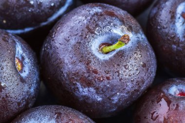 Su damlaları ile karanlık bir arka plan üzerinde Taze erik