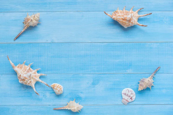 Sea Shell Met Kopie Ruimte Lichte Blauwe Houten Plankenvloer Voor — Stockfoto