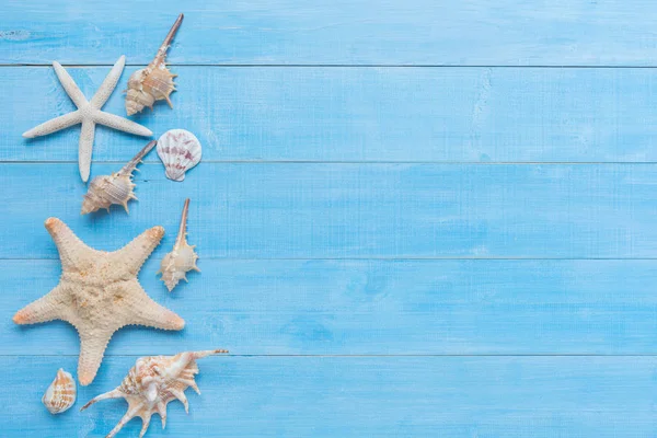 Sea Shell Met Kopie Ruimte Lichte Blauwe Houten Plankenvloer Voor — Stockfoto