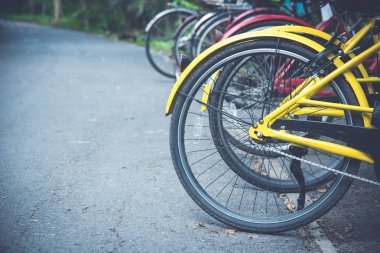 parkta bisiklet tekerleği satırları