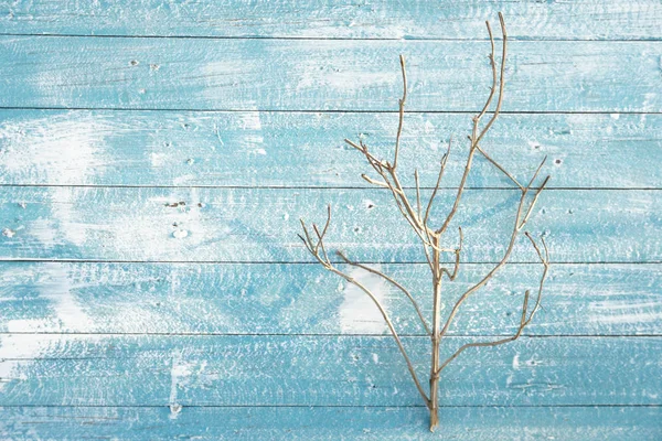 Trockene abgestorbene Pflanze auf blauem Holz Hintergrund — Stockfoto