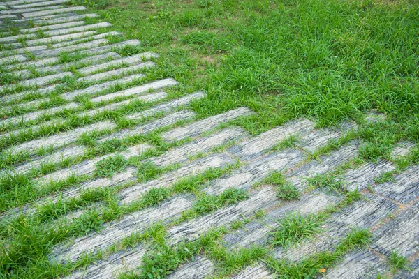 Stone walkway in green grass field — Stock Photo, Image