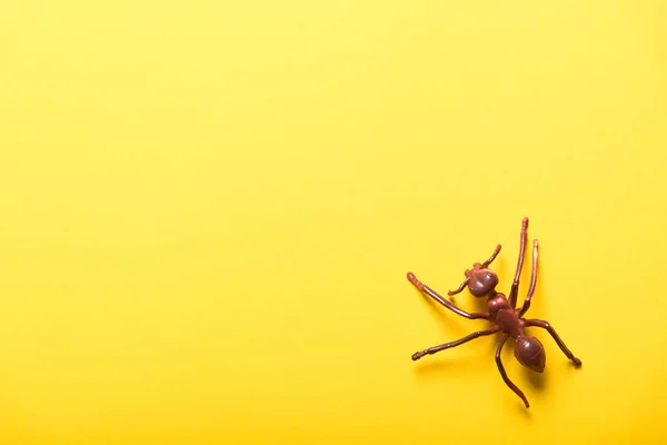 Figura de hormiga sobre papel amarillo —  Fotos de Stock