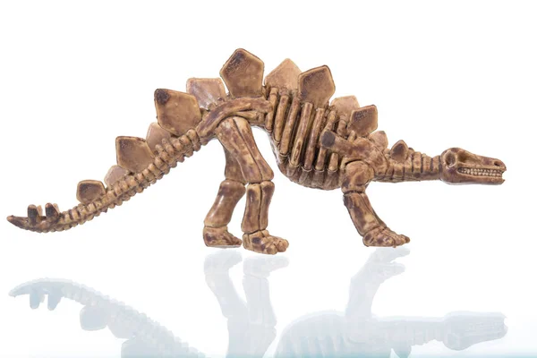 Figura esqueleto de dinossauro isolado no fundo branco — Fotografia de Stock