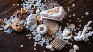 Deniz kabukları, tuz ve farklı türde karala. Tahta parçaları.