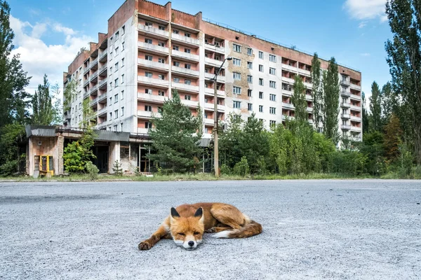 Nsan Hiçbir Korku Var Hayalet Kasaba Pripyat Ukrayna 2018 Bir — Stok fotoğraf