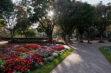 Sabah erkenden Nova Petropolis 'te Praca das Flores