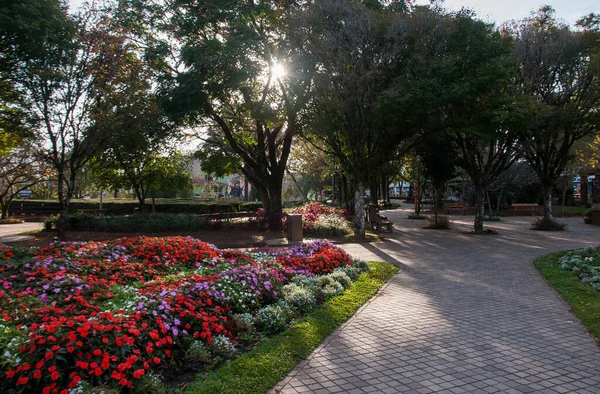 Sabah erkenden Nova Petropolis 'te Praca das Flores