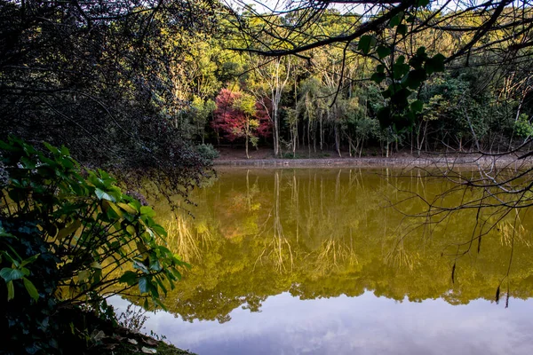 Lago Autunno Con Riflesso Alberi Acqua — Foto Stock