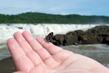 Rio Grande do Sul, Turvo 'da arka planda bulanık bir şelale ile kelebek elinde