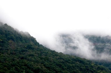 Galpolis 'teki dağlarda sis, Caxias do Sul