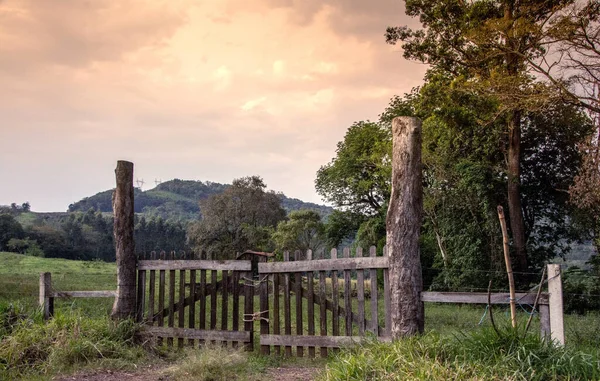 Ivoti, Rio Grande do Sul 'da arka planında ağaçlar ve dağlar olan bir bekçi.
