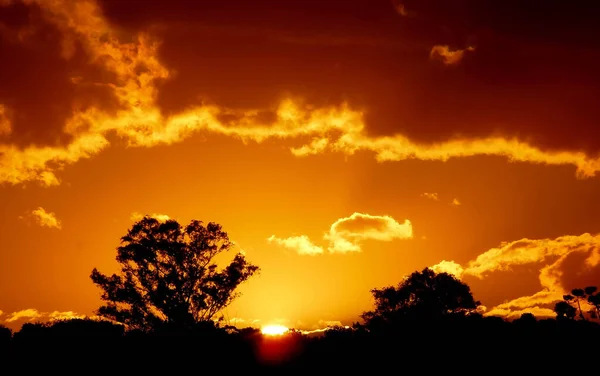 Sunset with clouds and silhouette of trees in Santa Justina , Rio Grande do Sul