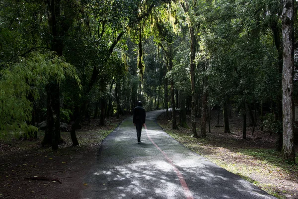 Hombre Caminando Bosque Encapuchado Ropa Negra Nova Petropolis Rio Grande —  Fotos de Stock