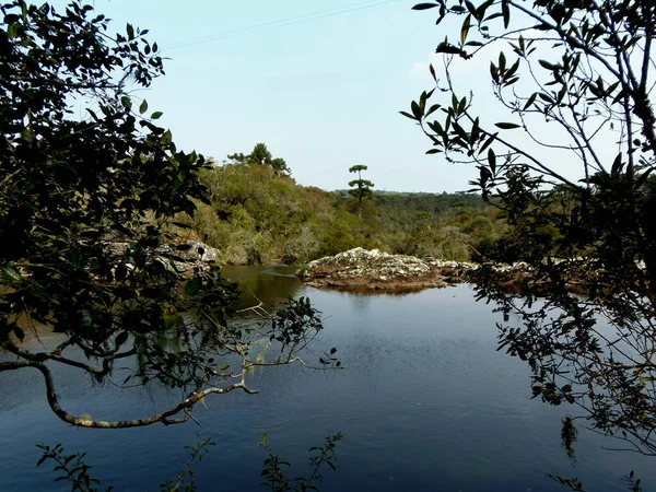 Río Bosque Cambara Sul —  Fotos de Stock