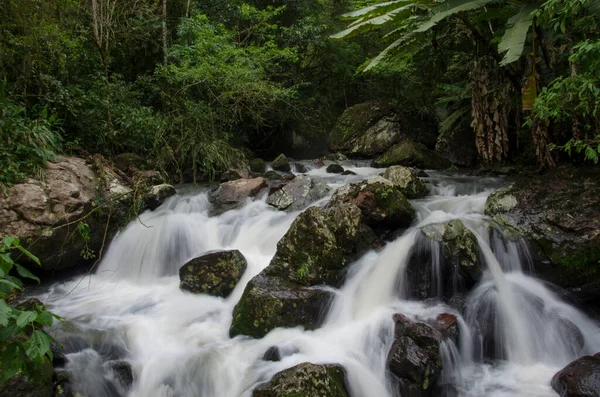 Liten Kaskad Inne Skogen — Stockfoto