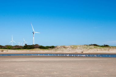 Önünde kum tepeleri olan bir rüzgar çiftliği ve geçen martıları olan bir nehir.