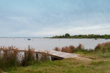 Rio Grande, Rio Grande do Sul 'da teknelerle dolu bir gölette ve arka planda bir ormanla... 