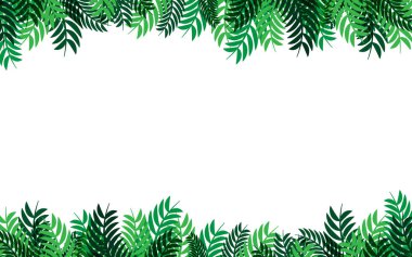 Çerçeve vektör soyut doğa arka plan tasarımı yeşil yaprakları