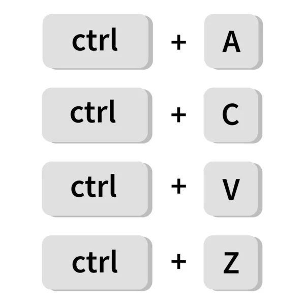 Computer Key Combinations Flat Style Vector Icon — Stock Vector