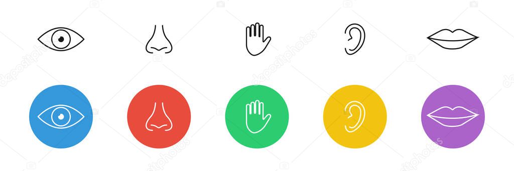 Set of 5 human senses. Vector isolated element.
