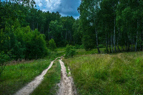 Skog Landsväg Molnigt Väder Sommar Romantisk Promenad — Stockfoto