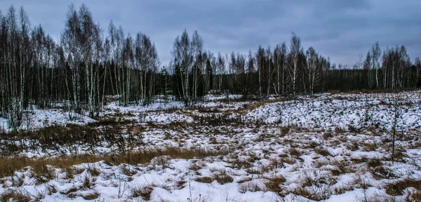 Winter. Little snow fell, but froze. Grass is visible from under the fresh snow.