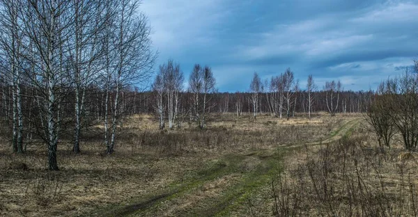 Våren Början April Snön Har Precis Smält Träden Fortfarande Utan — Stockfoto