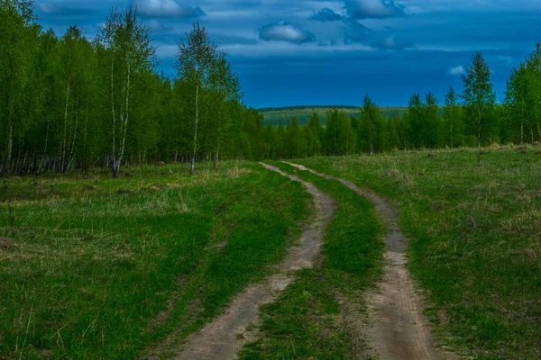 Kom Igen Färskt Gräs Mot Bakgrund Färskt Gräs Syns Resterna — Stockfoto